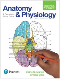 Image of HANDBOOK OF CARDIAC ANATOMY AND PHYSIOLOGY