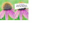 Image of MODUL AJAR ASUHAN KEBIDANAN NIFAS DAN MENYUSUI